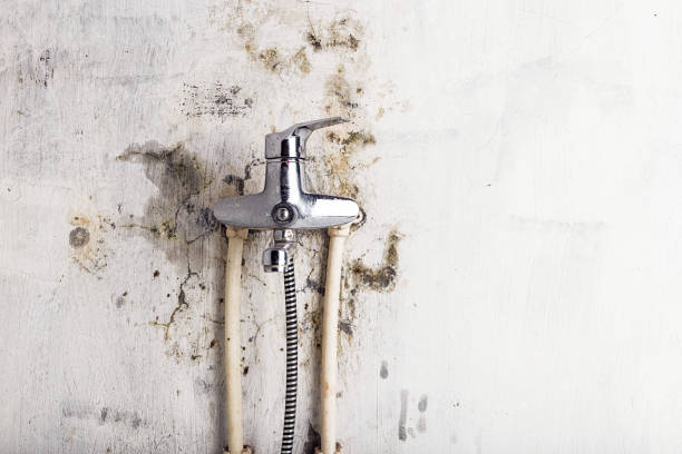 Home Mold Removal in Reminderville, OH