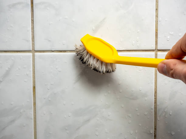 Best Mold Testing  in Reminderville, OH