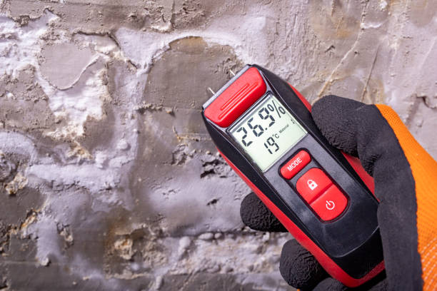 Best Crawl Space Mold Removal  in Reminderville, OH